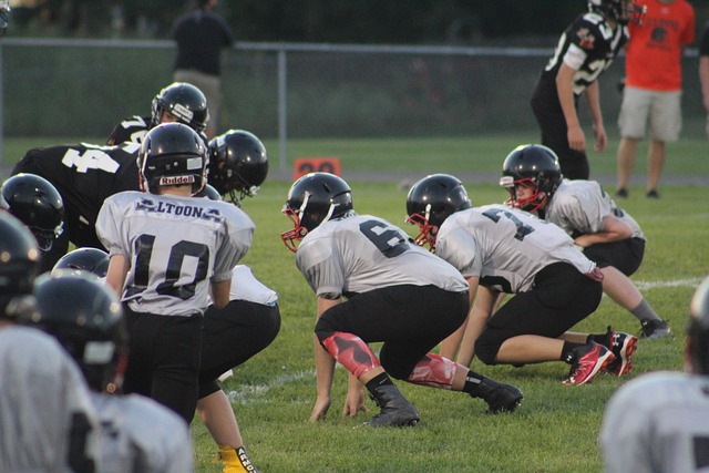 外形粗犷的 外形粗犷的