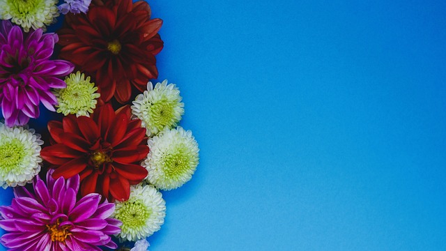 都会在这座 都会在这座