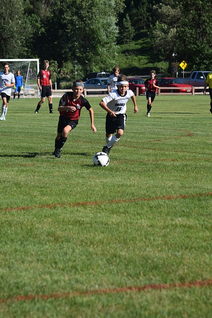 农业生产力 农业生产力