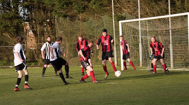 这一表现不 这一表现不