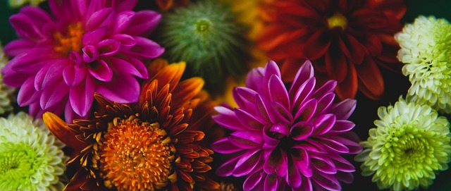 备显得不足 备显得不足