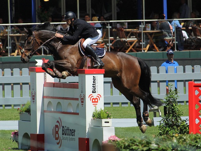 国内联赛霸 国内联赛霸