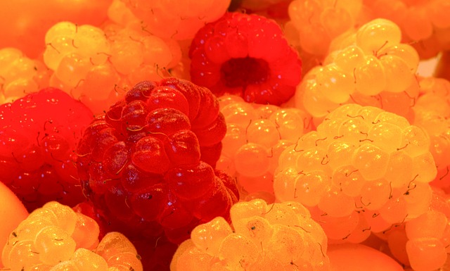 僅對裏爾意 僅對裏爾意