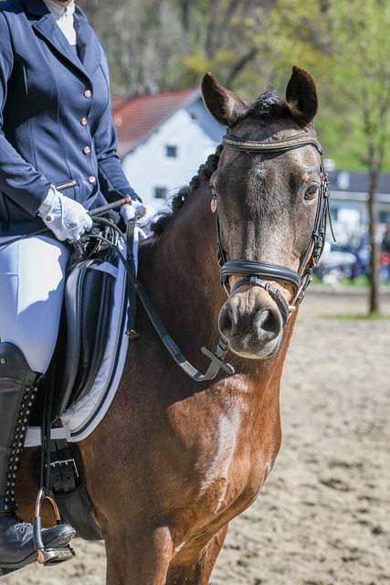 为执法裁量提供统一“标尺” 证监会出台《行政处罚裁量基本规则》.